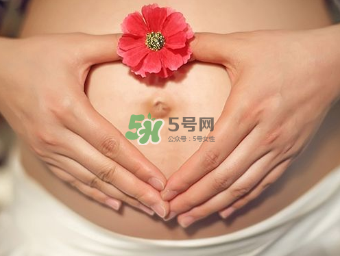 秋天孕婦可以吃絲瓜嗎？秋天孕婦吃絲瓜好嗎？