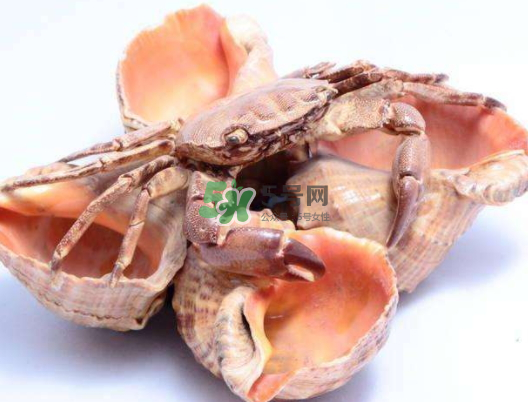 螃蟹殼里的東西是什么？螃蟹殼里什么不能吃？