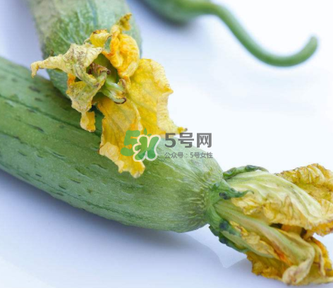 秋天絲瓜有毒嗎？秋天絲瓜能吃嗎？