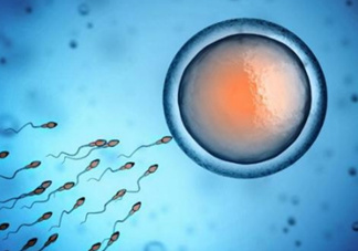 精子在女性體內可以存活多久？男性的精子會枯竭嗎？