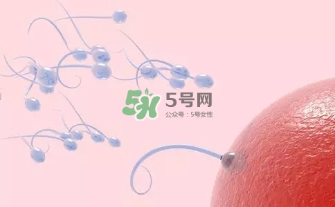 精子在女性體內(nèi)可以存活多久？男性的精子會枯竭嗎？