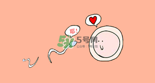 精子在女性體內(nèi)可以存活多久？男性的精子會枯竭嗎？