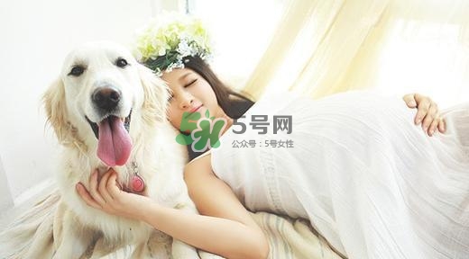 孕婦不能養(yǎng)寵物嗎？為什么孕婦不能養(yǎng)寵物？