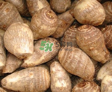 香芋如何種植？香芋的種植方法