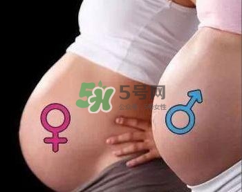 為什么孕婦的肚子有尖有圓？孕婦肚子尖圓對(duì)照?qǐng)D