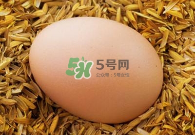 芝麻醬和雞蛋能一起吃嗎？雞蛋可以和芝麻醬一起吃嗎
