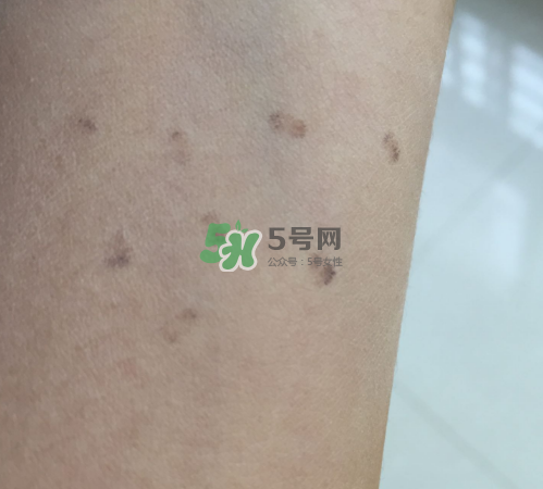 bobbi brown粉餅多少錢？芭比波朗粉餅價格