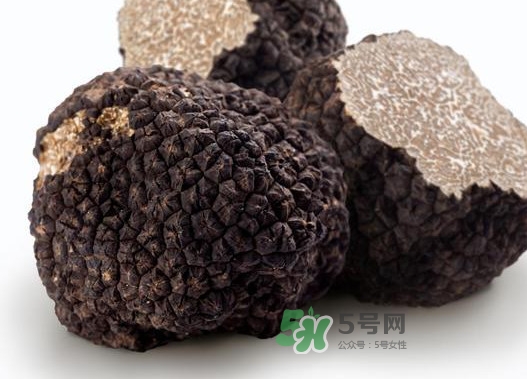 松露是什么樣子的？松露是怎么形成的