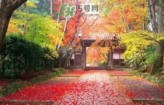 白露是寒露嗎？白露和寒露的區(qū)別