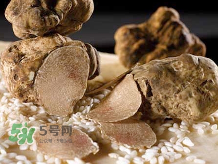 松露為什么那么貴？松露為什么這么貴？