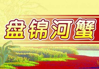 盤(pán)錦河蟹批發(fā)市場(chǎng)在哪？盤(pán)錦河蟹哪里最正宗？