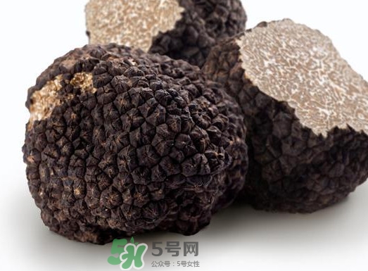 松露產(chǎn)地在哪里？松露有什么作用