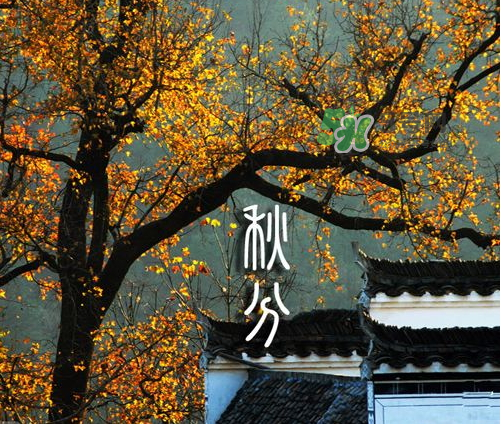 2017秋分會下雨嗎？2017秋分下雨好不好？