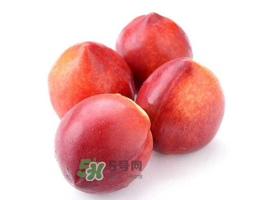 九月份還有桃子嗎？9月份成熟的桃子有幾種？