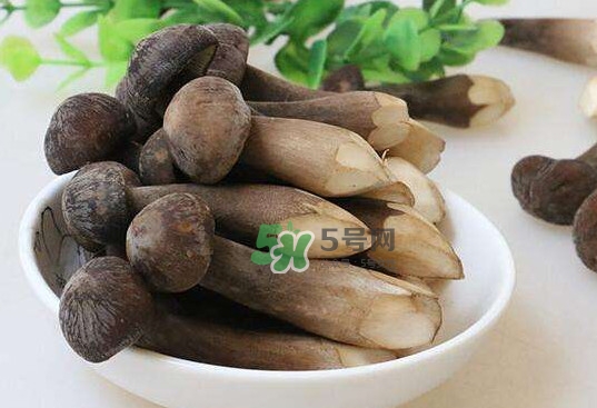 雞樅菌和松茸哪個(gè)更好？雞樅菌有什么營(yíng)養(yǎng)