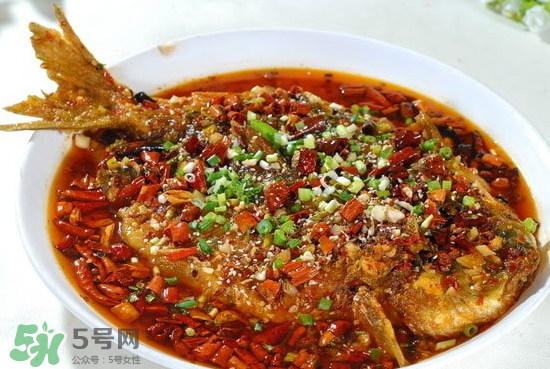 黑魚能愈合傷口嗎？黑魚為什么對(duì)傷口愈合？