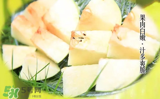 綠寶石梨多少錢一斤？綠寶石梨價(jià)格表