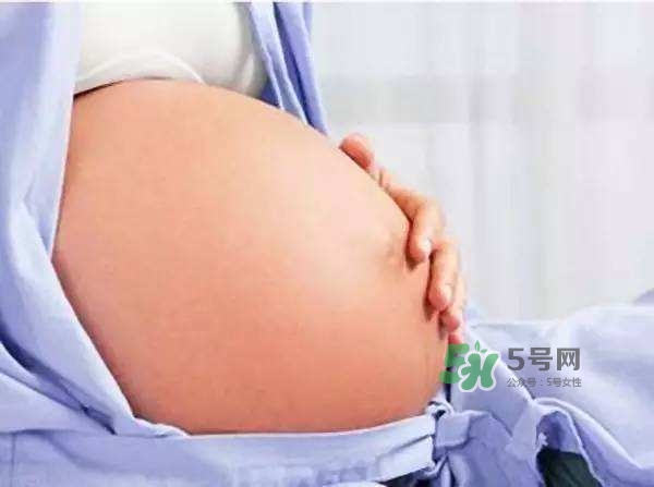 孕晚期肚子有規(guī)律的跳動是胎動嗎？