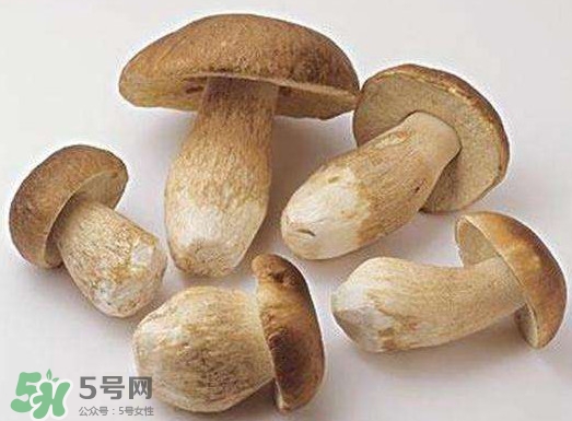 牛肝菌要泡發(fā)多久？牛肝菌怎么清洗