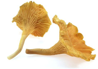 雞油菌怎么清洗？雞油菌要焯水嗎