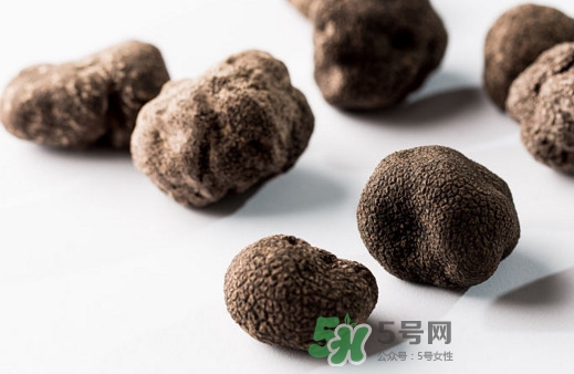 松露對女人有什么好處？松露對男人有什么好處