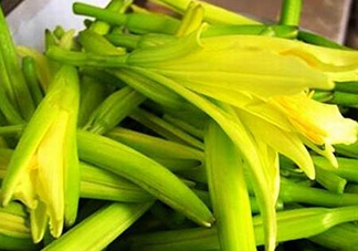 黃花菜開花了還能吃嗎？開花的黃花菜可以吃嗎