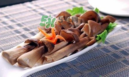 雞樅菌和松茸哪個(gè)更好？雞樅菌有什么營(yíng)養(yǎng)