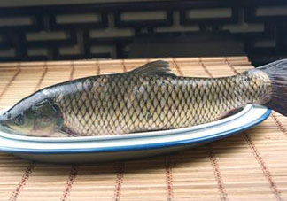 黑魚(yú)可以清蒸嗎？黑魚(yú)蒸多久？