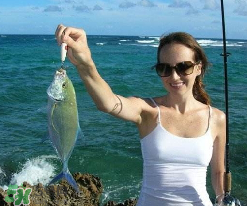 9月份釣什么魚？9月份釣草魚嗎？