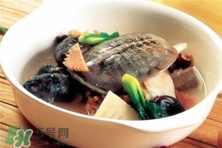 產(chǎn)婦能吃甲魚(yú)嗎？產(chǎn)婦能吃甲魚(yú)湯嗎？