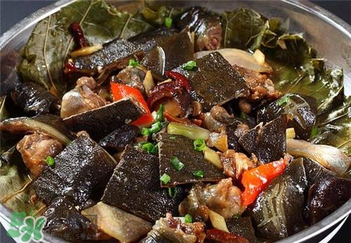 甲魚(yú)湯下奶嗎？下奶的食物有哪些？