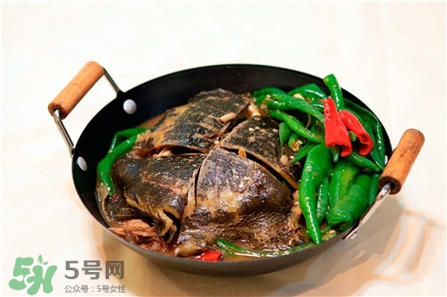 甲魚湯是涼性的嗎？甲魚湯的禁忌人群