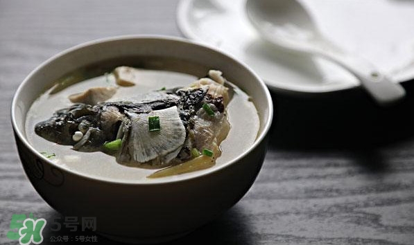 孕婦鯽魚湯可以放姜嗎？孕婦鯽魚湯能放料酒嗎？