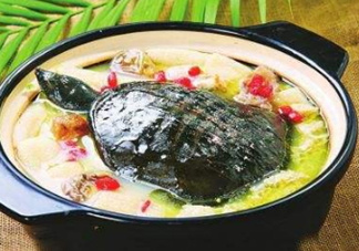 甲魚(yú)湯下奶嗎？下奶的食物有哪些？