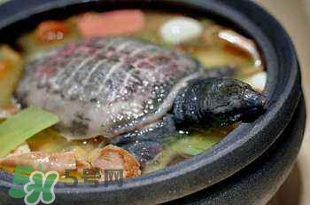 產(chǎn)婦能吃甲魚(yú)嗎？產(chǎn)婦能吃甲魚(yú)湯嗎？