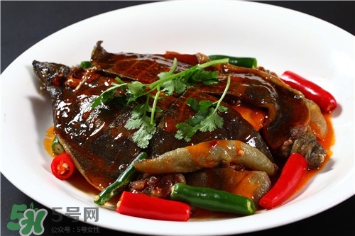 甲魚湯是涼性的嗎？甲魚湯的禁忌人群