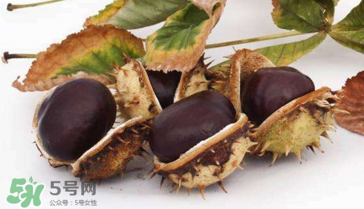 板栗殼怎么好剝？怎樣剝板栗殼最快