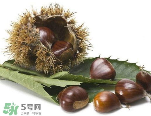 板栗殼里面的皮能吃嗎？板栗殼有什么作用