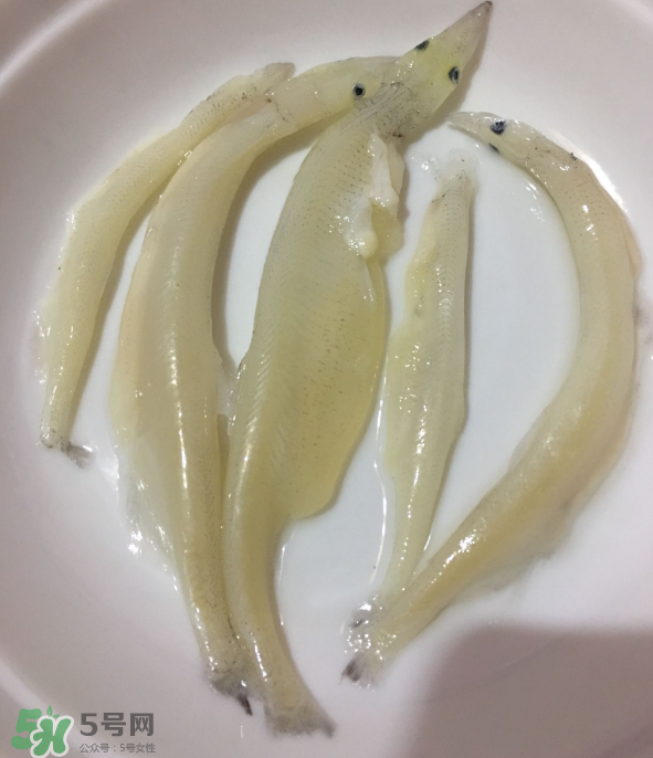大銀魚怎么做好吃？大銀魚的做法大全