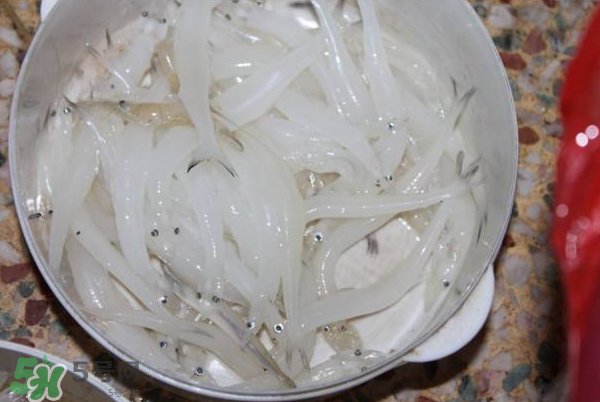 大銀魚多少錢一斤？大銀魚怎么洗？