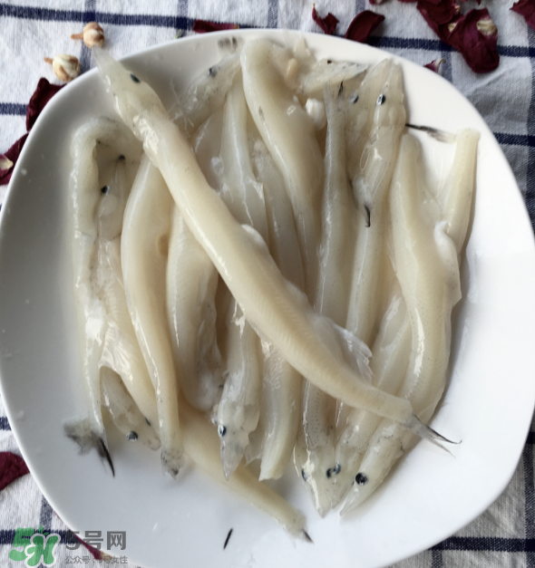 大銀魚多少錢一斤？大銀魚怎么洗？