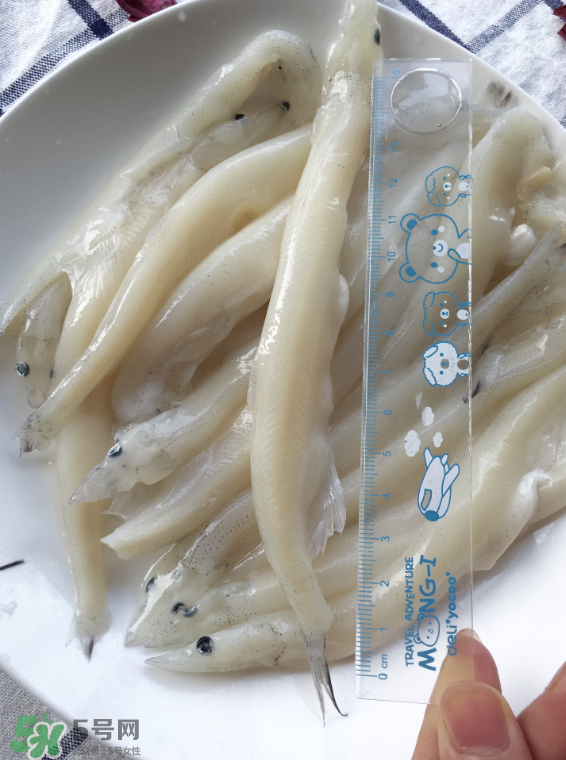 大銀魚多少錢一斤？大銀魚怎么洗？