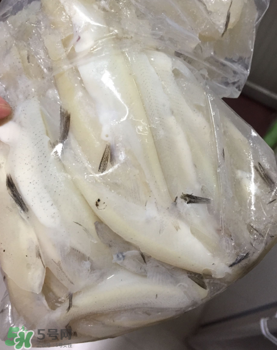 銀魚可以煲粥嗎？銀魚可以包餃子嗎？
