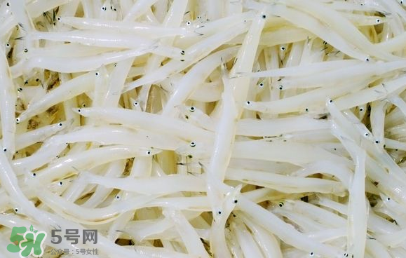 銀魚可以煲粥嗎？銀魚可以包餃子嗎？