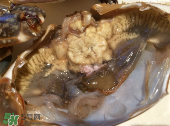 梭子蟹是野生的嗎？梭子蟹養(yǎng)的還是野生的？