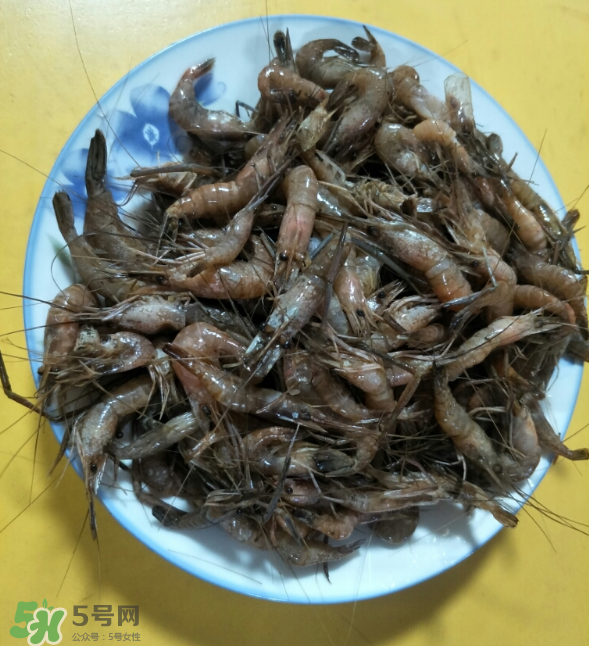 河蝦是發(fā)物嗎？河蝦是不是發(fā)物？