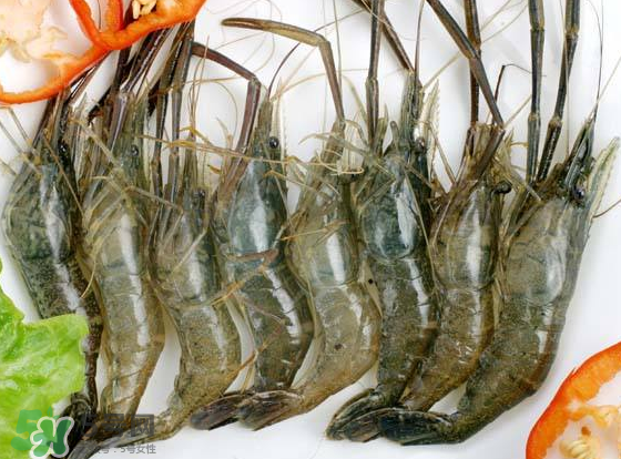 河蝦是海鮮嗎？河蝦屬于海鮮嗎？