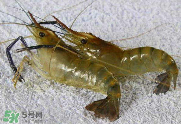 河蝦是酸性還是堿性？河蝦是涼性還是熱性？