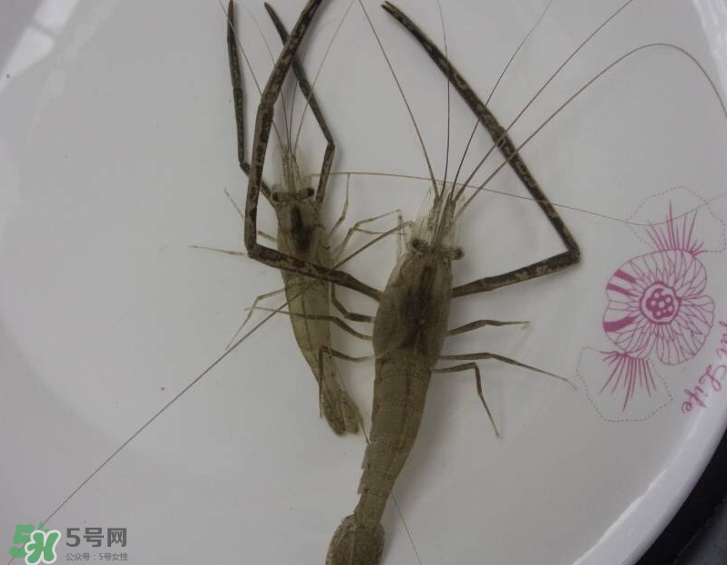 河蝦可以和牛奶同食嗎？河蝦和牛奶能一起吃嗎？