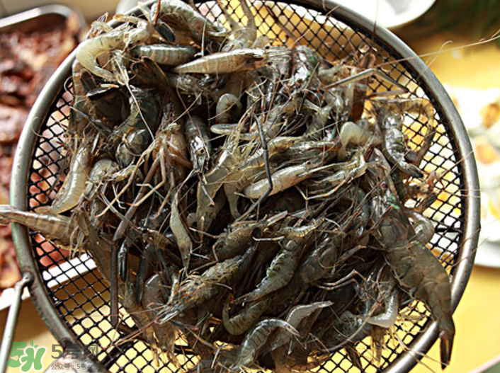 河蝦可以吃頭嗎？蝦頭到底能不能吃？